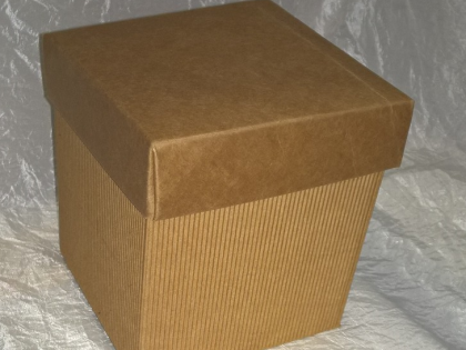 Scatola ondulata media 12x12x12